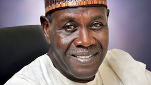 Image result for Babagana Kingibe